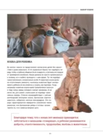 Кошки. Большая визуальная книгаиклопедия — изображение 12