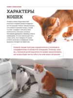Кошки. Большая визуальная книгаиклопедия — изображение 13