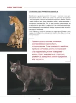 Кошки. Большая визуальная книгаиклопедия — изображение 15