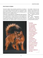 Кошки. Большая визуальная книгаиклопедия — изображение 16