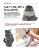 Кошки. Большая визуальная книгаиклопедия — изображение 17