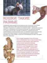 Кошки. Большая визуальная книгаиклопедия — изображение 6