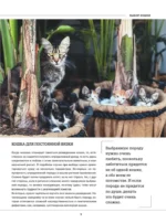 Кошки. Большая визуальная книгаиклопедия — изображение 10