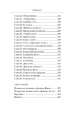 Светлый пепел луны. Книга 2 — изображение 4