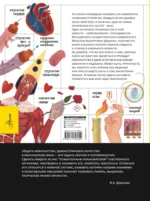 Человек. Исследуем тело и мозг человека — изображение 3