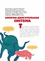 Человек. Исследуем тело и мозг человека — изображение 7
