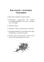 Оракул Жар-птицы — изображение 4