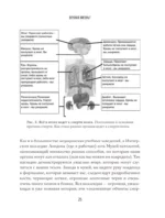 Реальный биологический возраст. Как мы устроены, почему стареем и что с этим делать — изображение 18