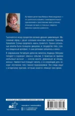 Хранитель солнца — изображение 3