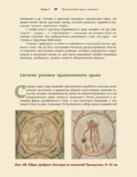 Православный храм - история, символика, стилистика — изображение 10