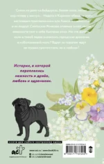 Любовь в Сочи, мопс и белые ночи — изображение 3
