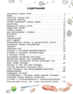 Как правильно любить собак — изображение 4