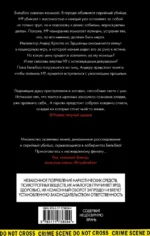 День зимнего солнцестояния — изображение 3