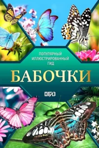 Бабочки. Иллюстрированный гид. Анна Спектор