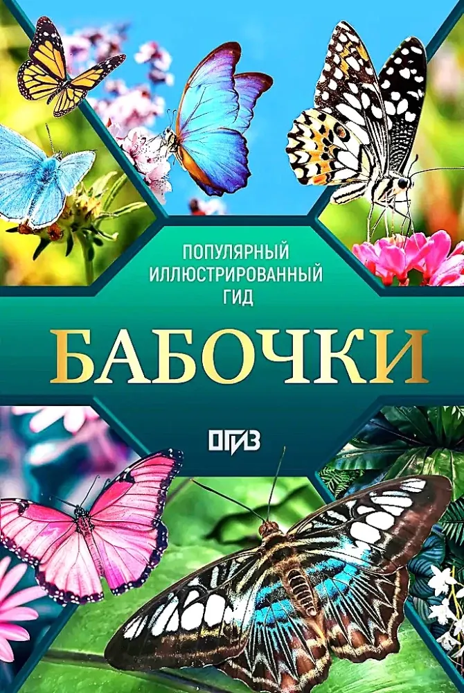 9785171738624_0.webp Бабочки. Иллюстрированный гид. Анна Спектор