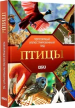 Птицы. Иллюстрированный гид — изображение 2
