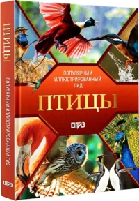 Птицы. Иллюстрированный гид — Биология и природа