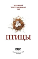 Птицы. Иллюстрированный гид — изображение 4