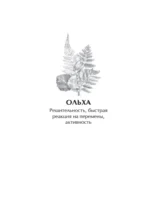 Оракул берендеев — изображение 15