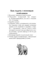 Оракул берендеев — изображение 5