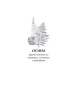 Оракул берендеев — изображение 8