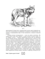 Собака. Полное руководство по дрессировке и уходу — изображение 13