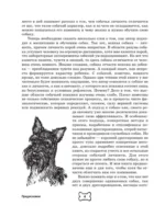 Собака. Полное руководство по дрессировке и уходу — изображение 6