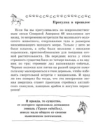Лошадь. Полное руководство по верховой езде и уходу — изображение 10