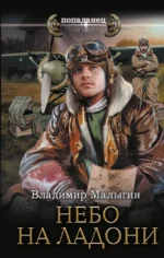 Небо на ладони. Владимир Малыгин