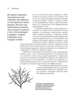 Обрезка садовых деревьев. Экспертное руководство по созданию плодового сада — изображение 11