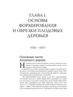 Обрезка садовых деревьев. Экспертное руководство по созданию плодового сада — изображение 13