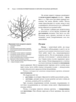 Обрезка садовых деревьев. Экспертное руководство по созданию плодового сада — изображение 15