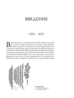 Обрезка садовых деревьев. Экспертное руководство по созданию плодового сада — изображение 8