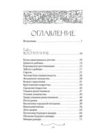 Безграмотное Средневековье — изображение 4