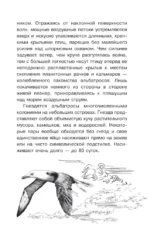 Тайны живой природы — изображение 8