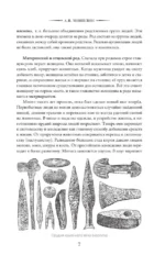 История древнего мира. 5-6 класс — изображение 6