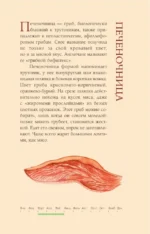 Грибы русского леса. Иллюстрированный определитель — изображение 11