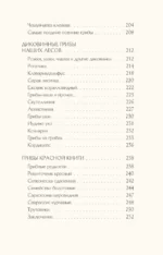 Грибы русского леса. Иллюстрированный определитель — изображение 17