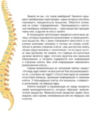 Сказочная анатомия — изображение 9