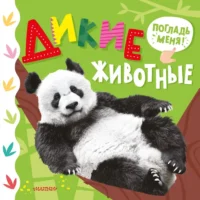 Дикие животные. Марина Низенькова