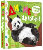 Дикие животные — изображение 2