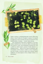 Аромат земляники. Светлые рассказы и дачные зарисовки — изображение 11