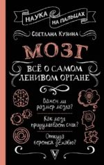 Мозг. Всё о самом ленивом органе. Светлана Кузина