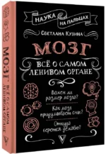 Мозг. Всё о самом ленивом органе — изображение 2