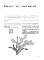 Рисование соусом. Мягкий графический материал: свойства, особенности и способы нанесения — изображение 9