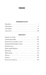 Принцип карате — изображение 4