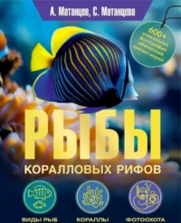 Рыбы коралловых рифов. Александр Матанцев, Светлана Матанцева
