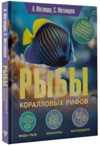 Рыбы коралловых рифов — Животные