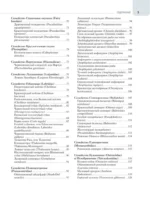 Рыбы коралловых рифов — изображение 4