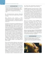 Рыбы коралловых рифов — изображение 9